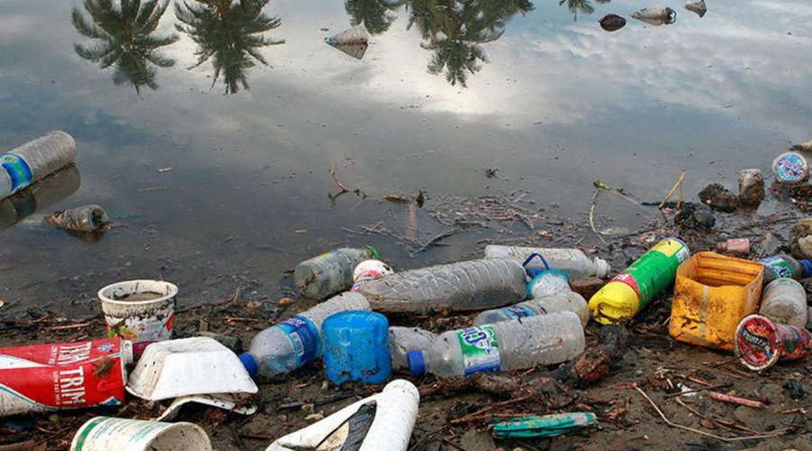 [Plástico nos oceanos pode chegar a 600 milhões de toneladas em 2040]