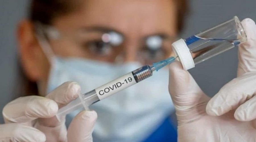[Pesquisadores do Ceará solicitam patente de vacina veterinária contra Covid-19 para teste em humanos ]