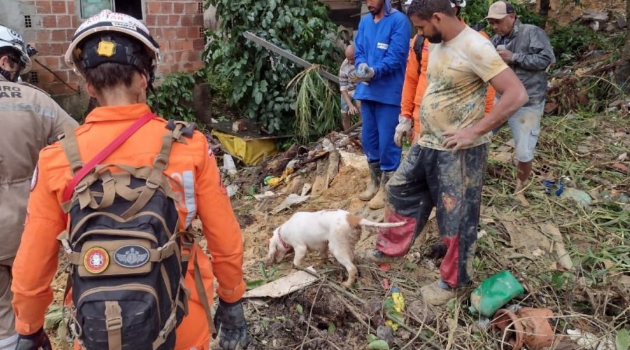 [Número de vítimas pelas chuvas em Pernambuco chega a 128 após corpo de última desaparecida ser encontrada]