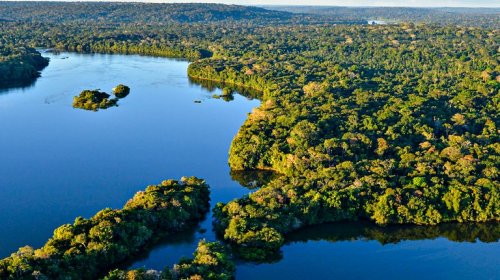 [Brasil perde 15% de florestas naturais em quase 40 anos, diz MapBiomas]