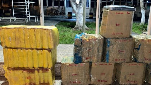 [Mais de 200 kg de entorpecentes são apreendidos durante operação no sul da Bahia; dois suspeit...]